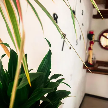 Grazioso Bilocale Pieno Centro