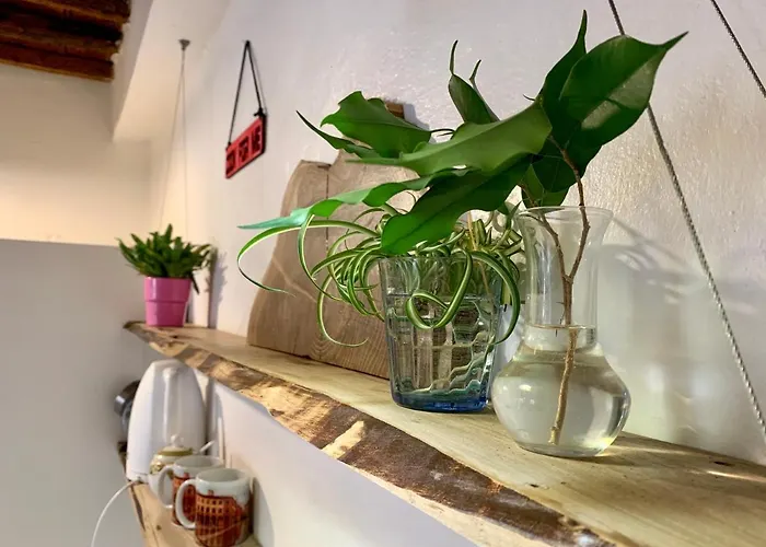 Grazioso Bilocale Pieno Centro * Modena